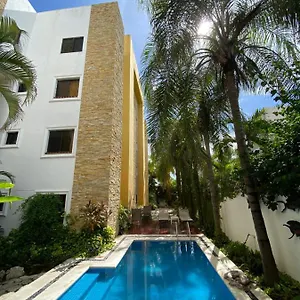 Golondrinas Messico